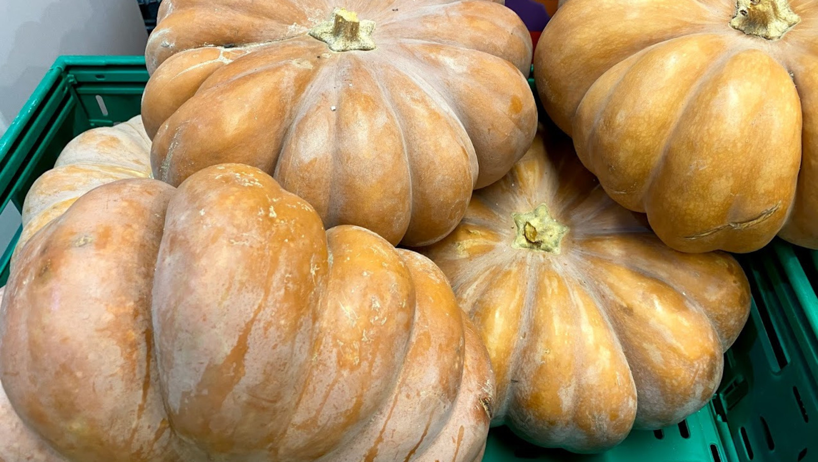 Елены Колоколовой.