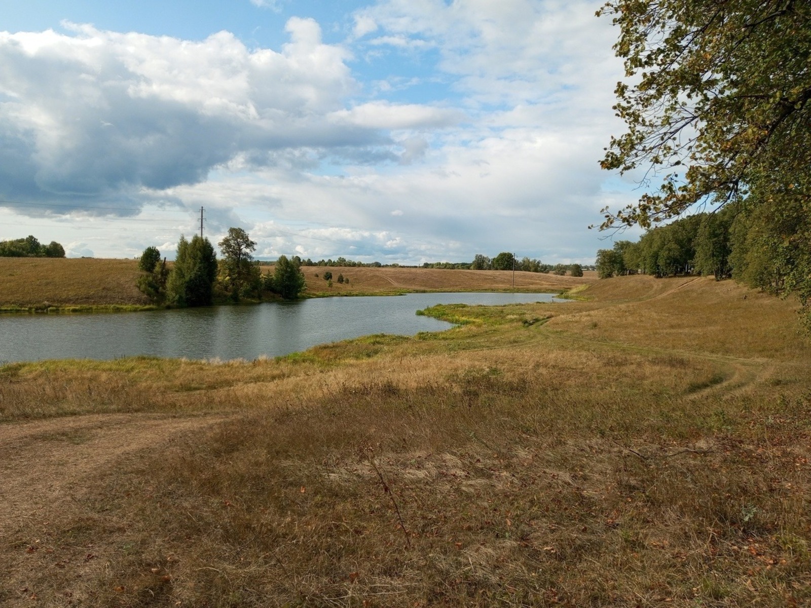 Евгении Сюткиной.