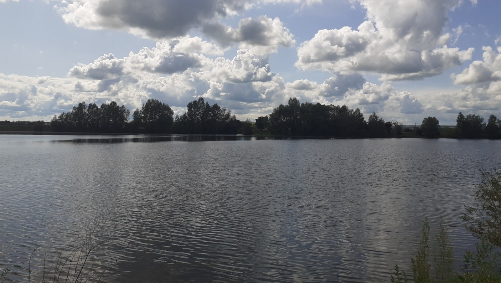 Владимира Шакиева.