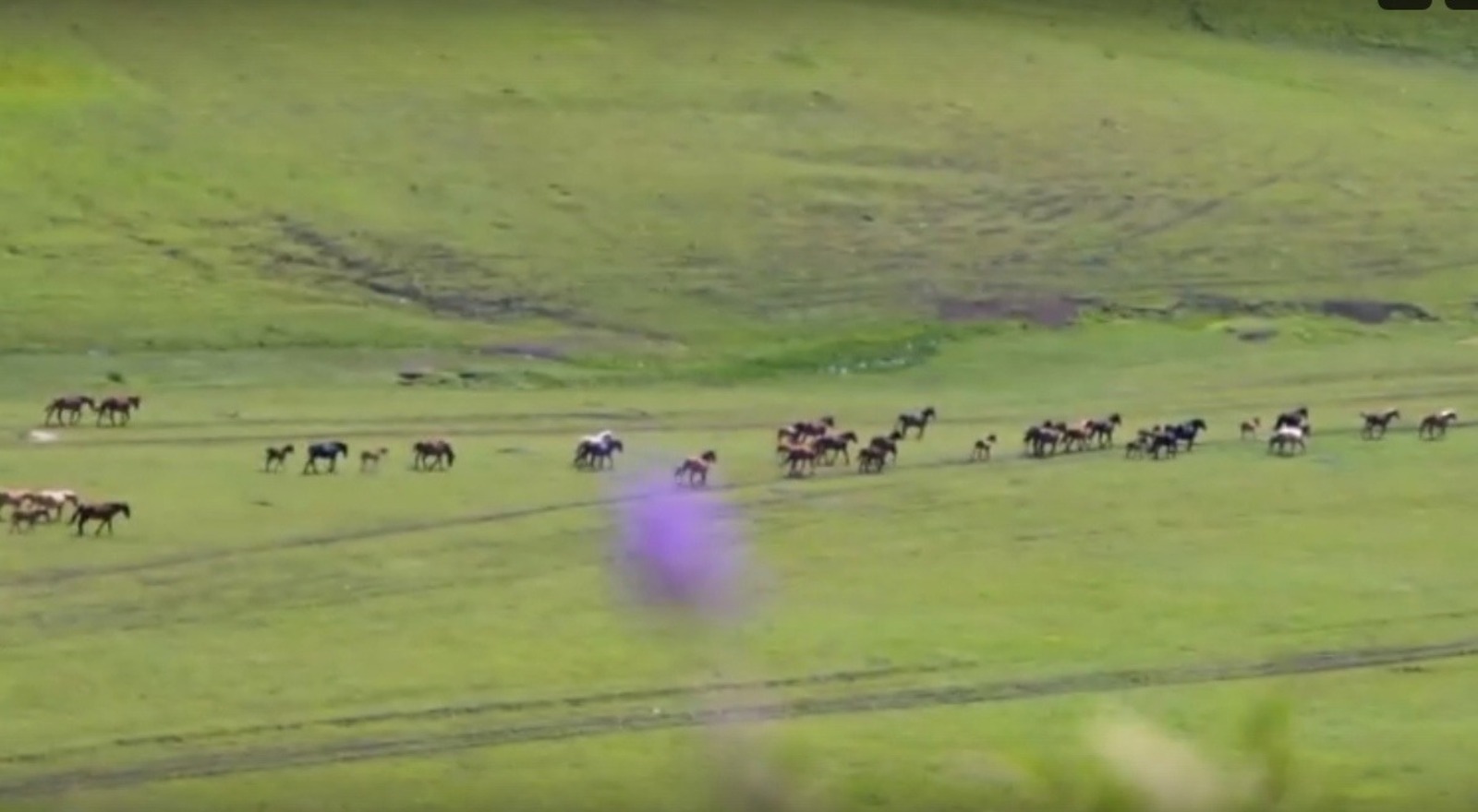 скриншот видео.