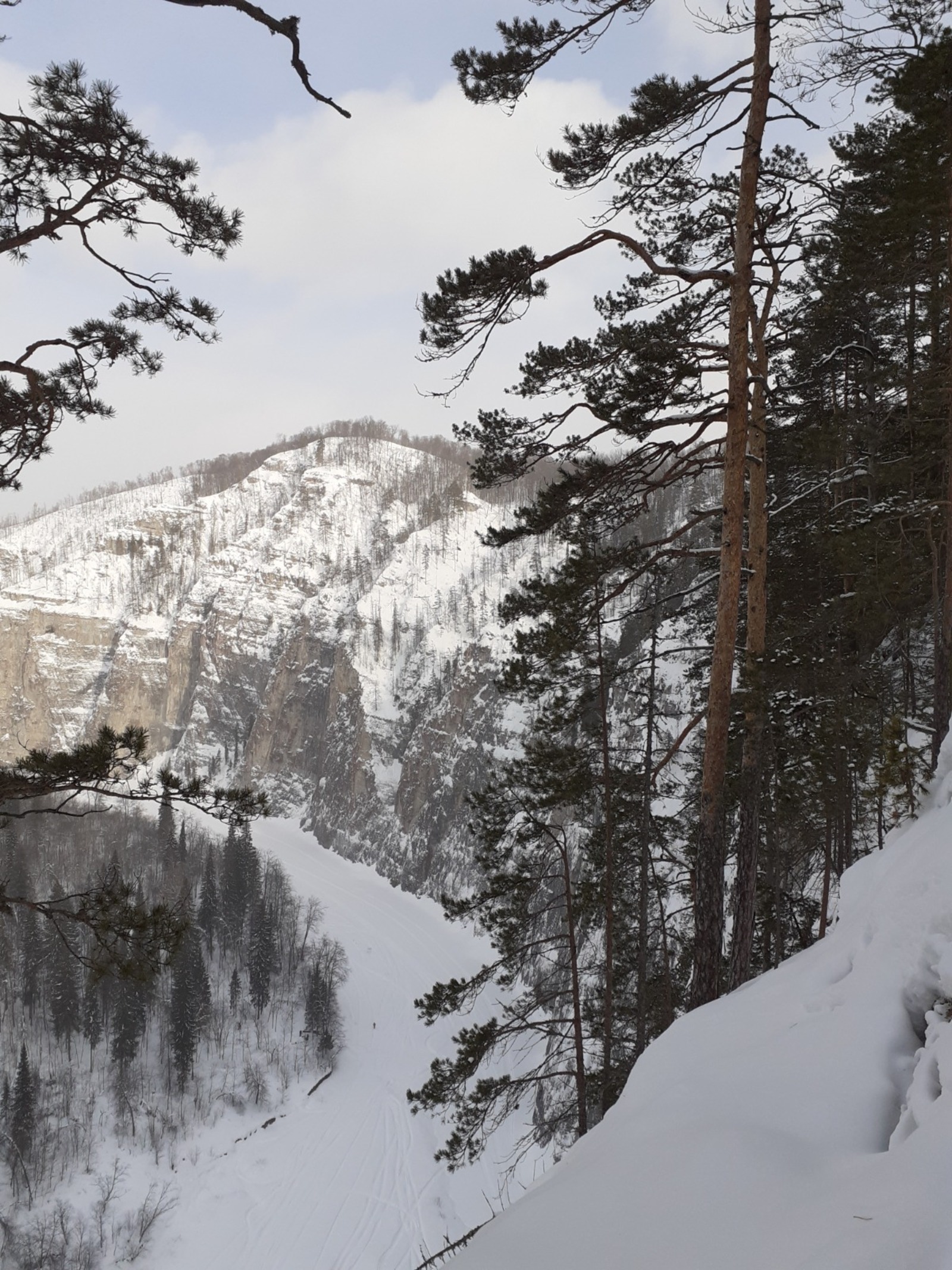 Владимира Шакиева.