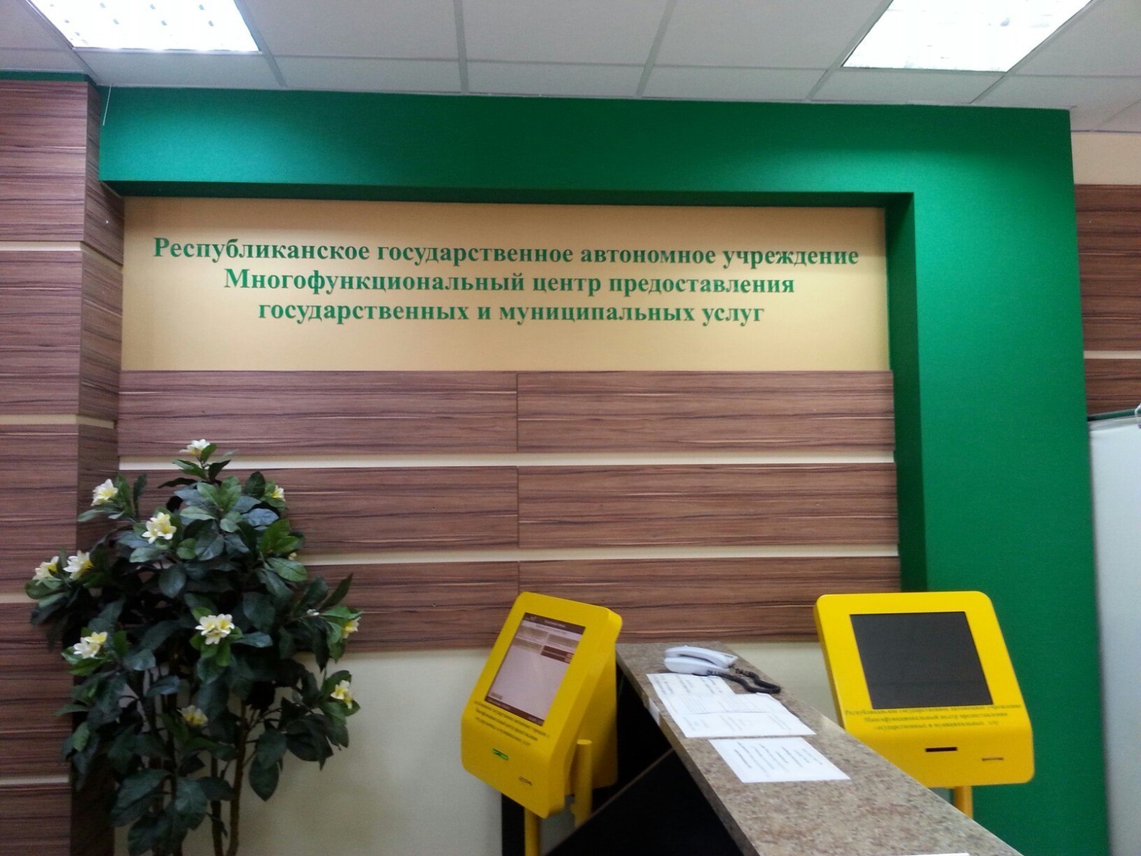 Дарьи Святохиной.