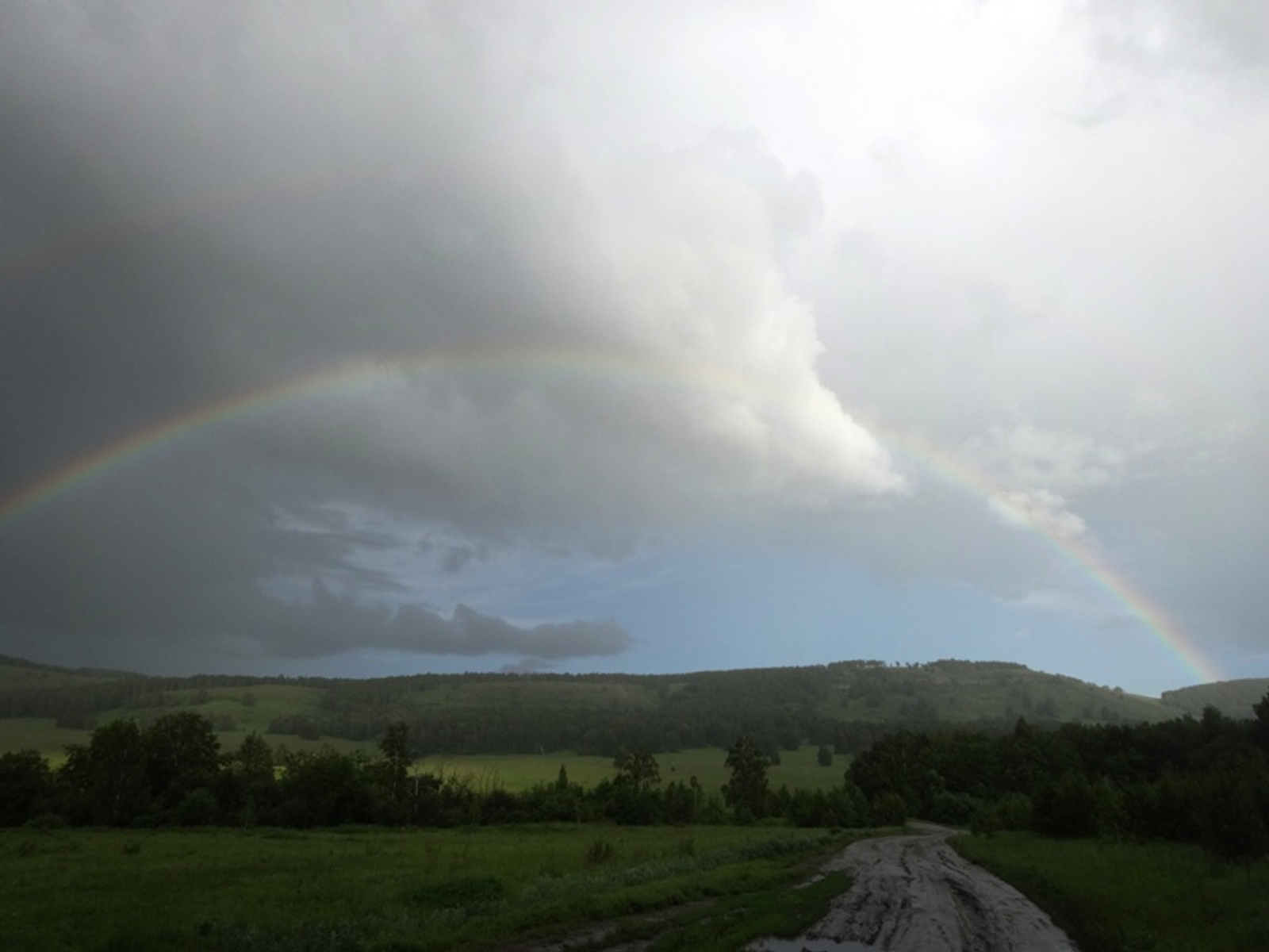 Фото автора.