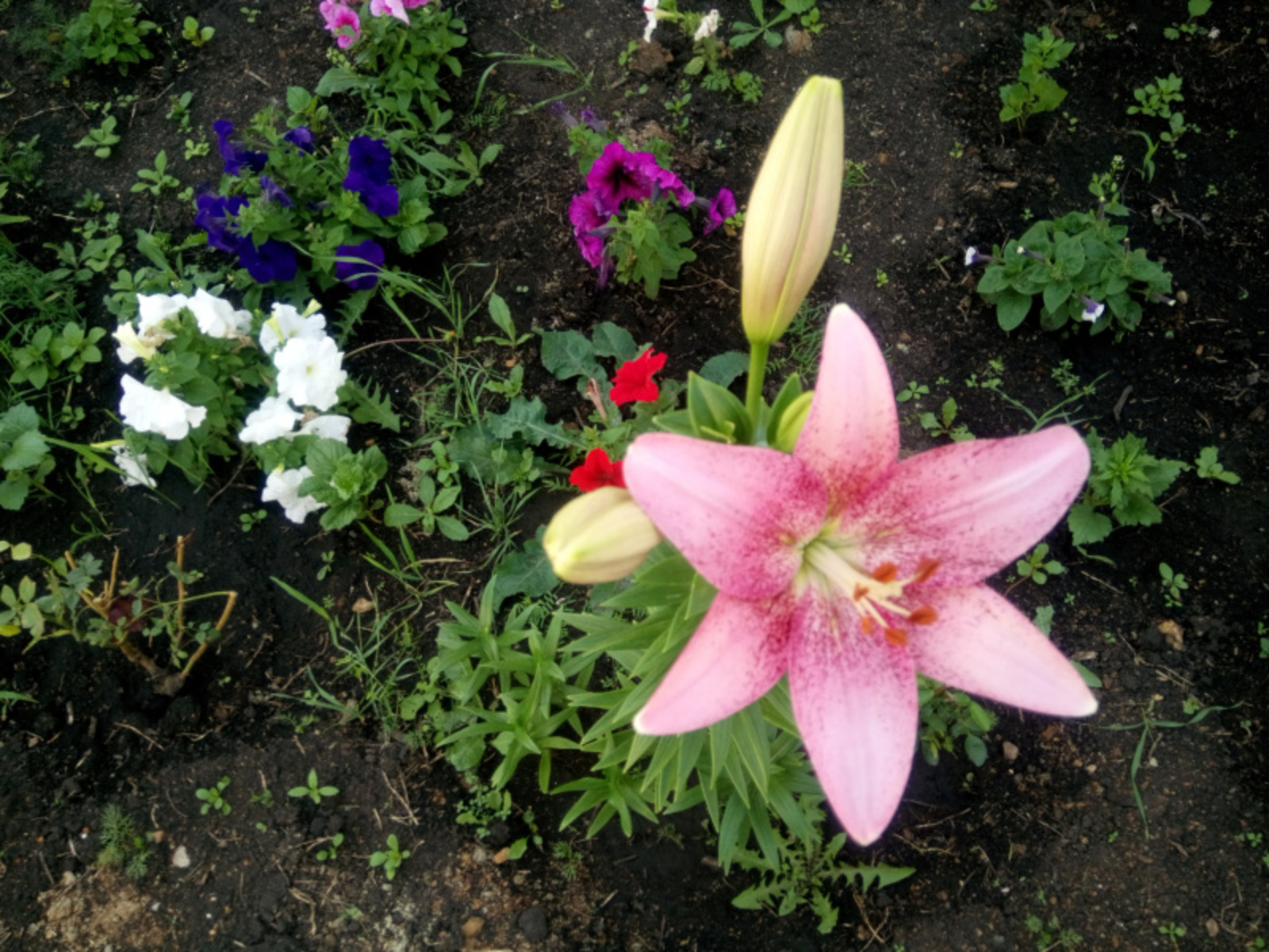 Фото Васили Саитовой.