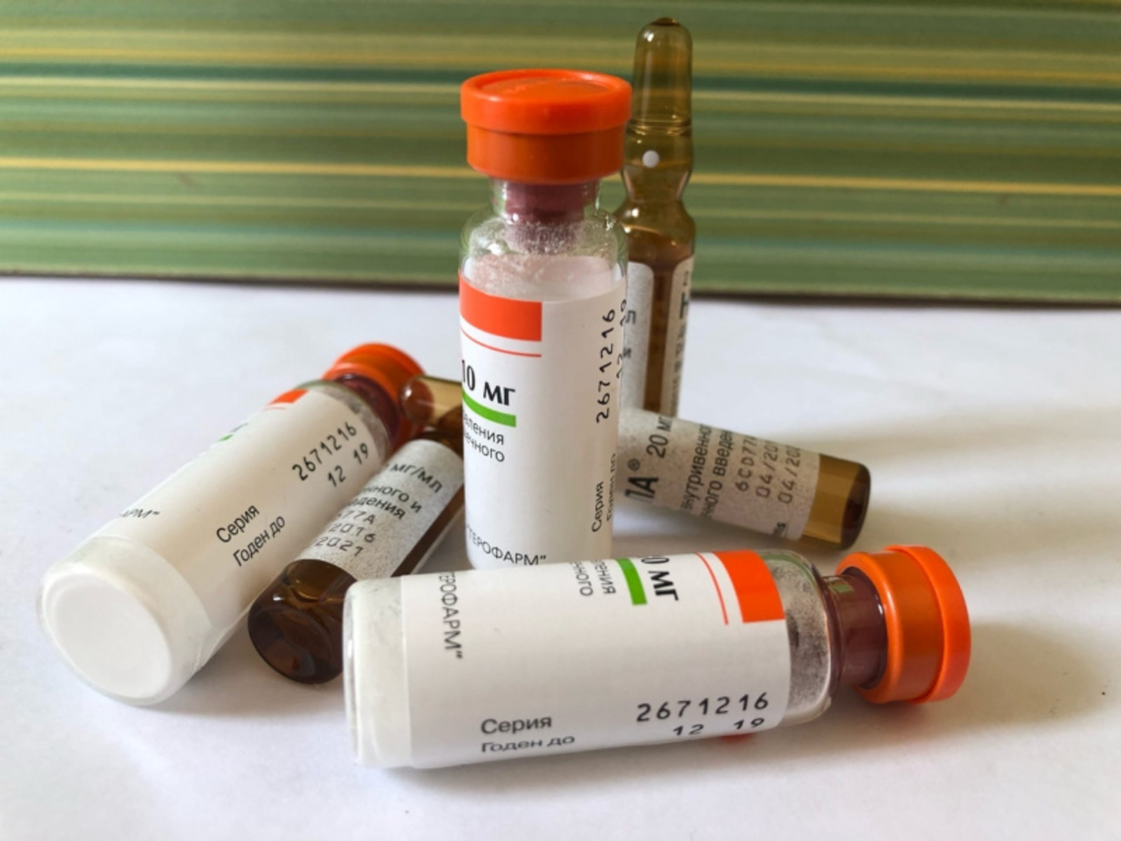 Фото Елены Колоколовой.