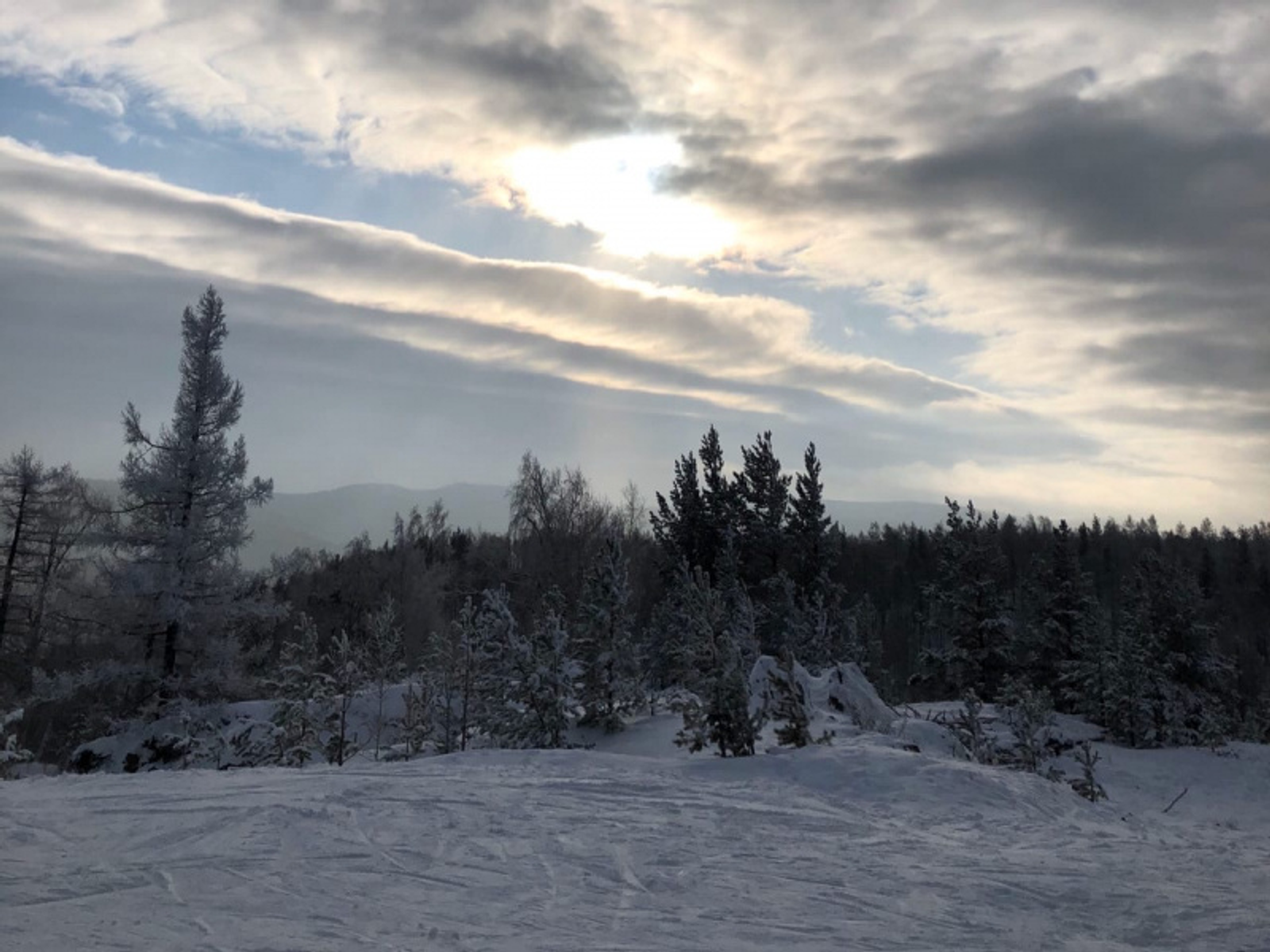 Фото Елены Колоколовой.