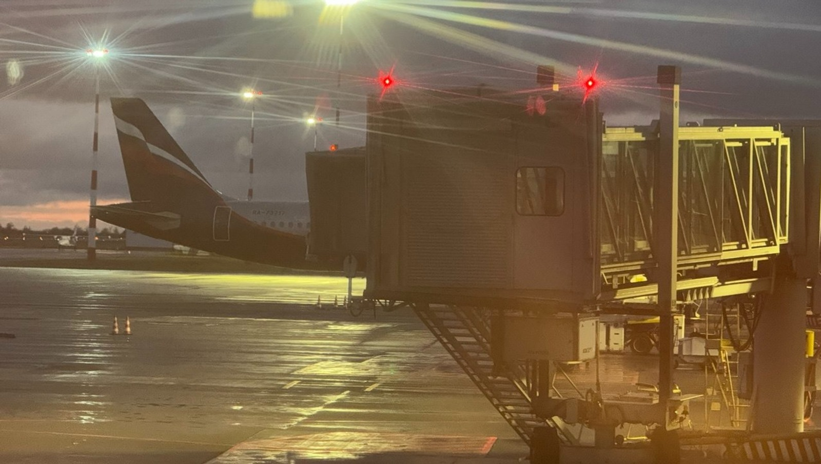 Елены Колоколовой.