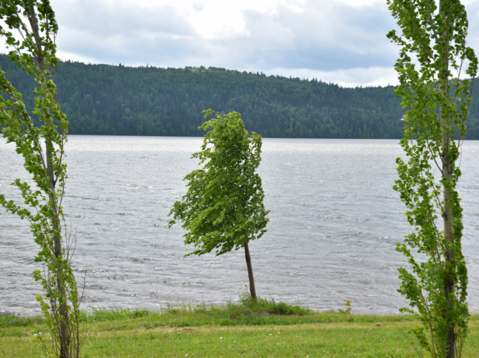 Фото Елены Колоколовой.