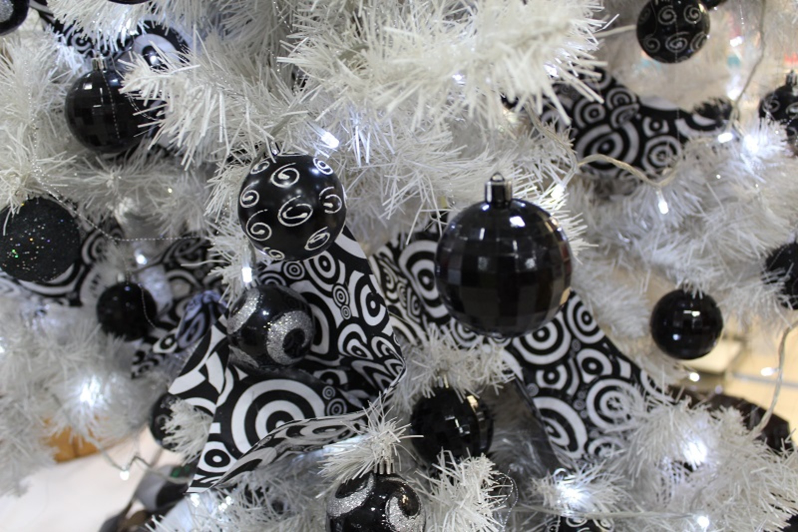 Фото Дарьи Святохиной.