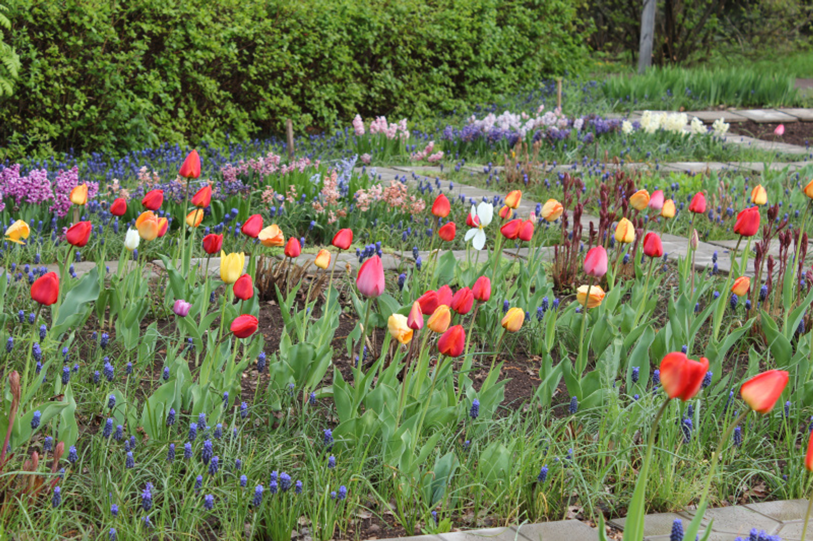 Фото автора.