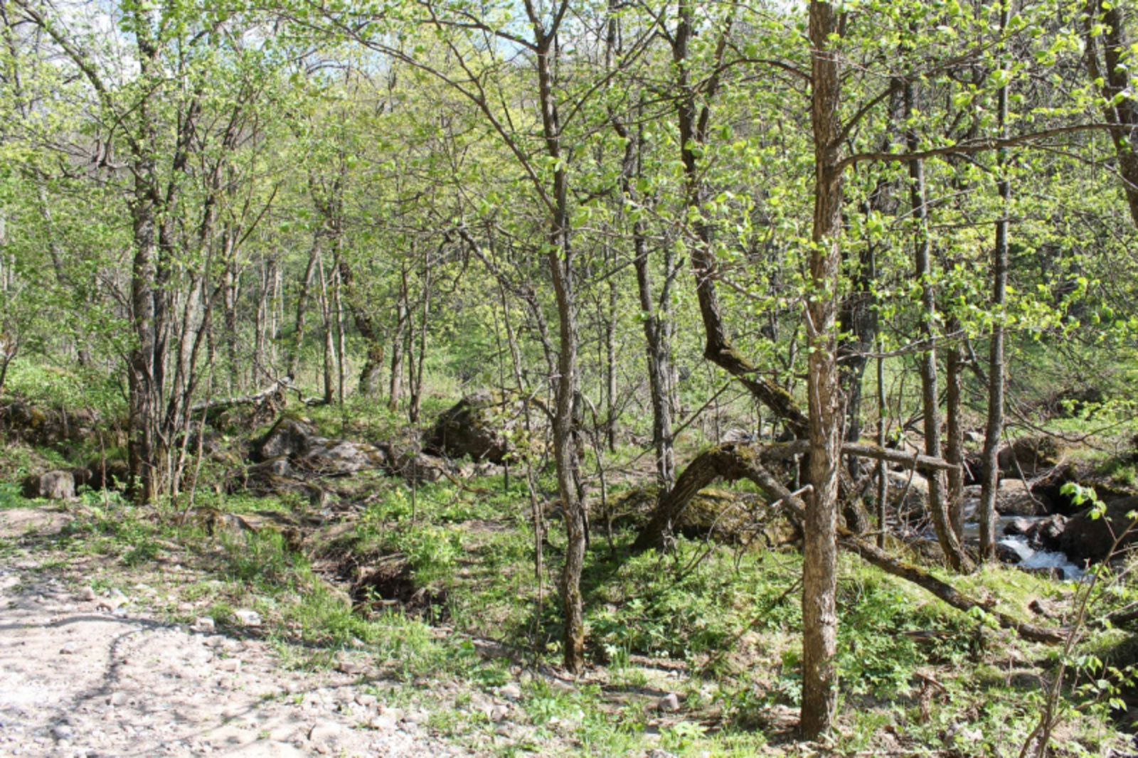 Фото автора.