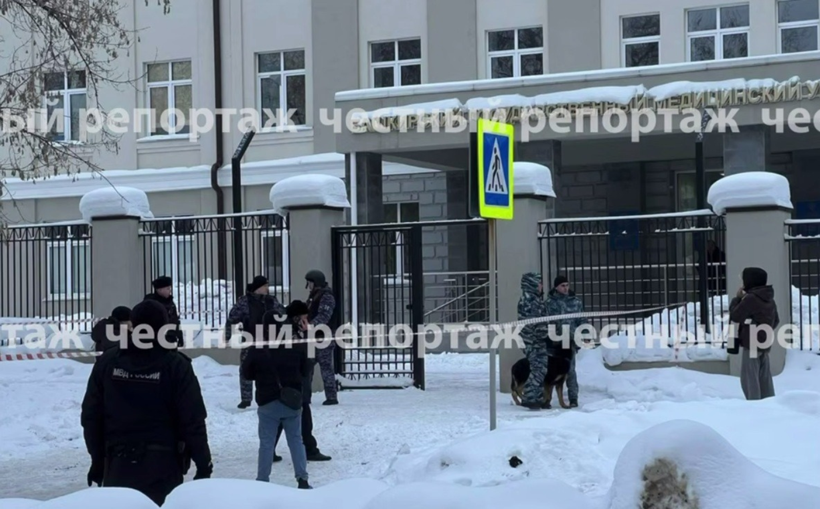 телеграм-канал «Честно говоря». Tele