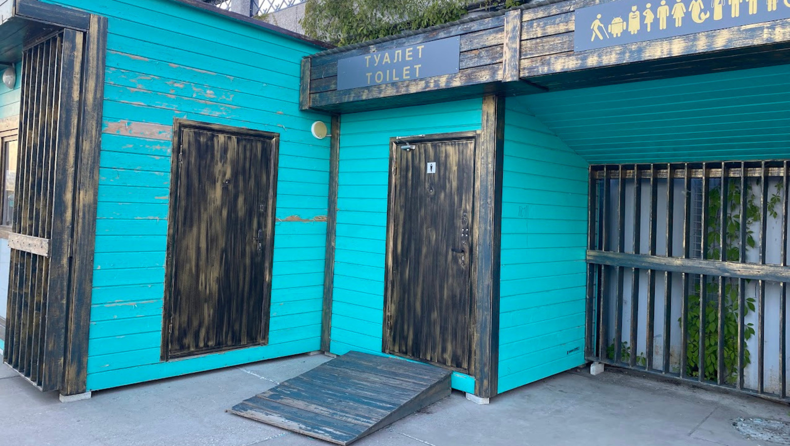 Елены Колоколовой.