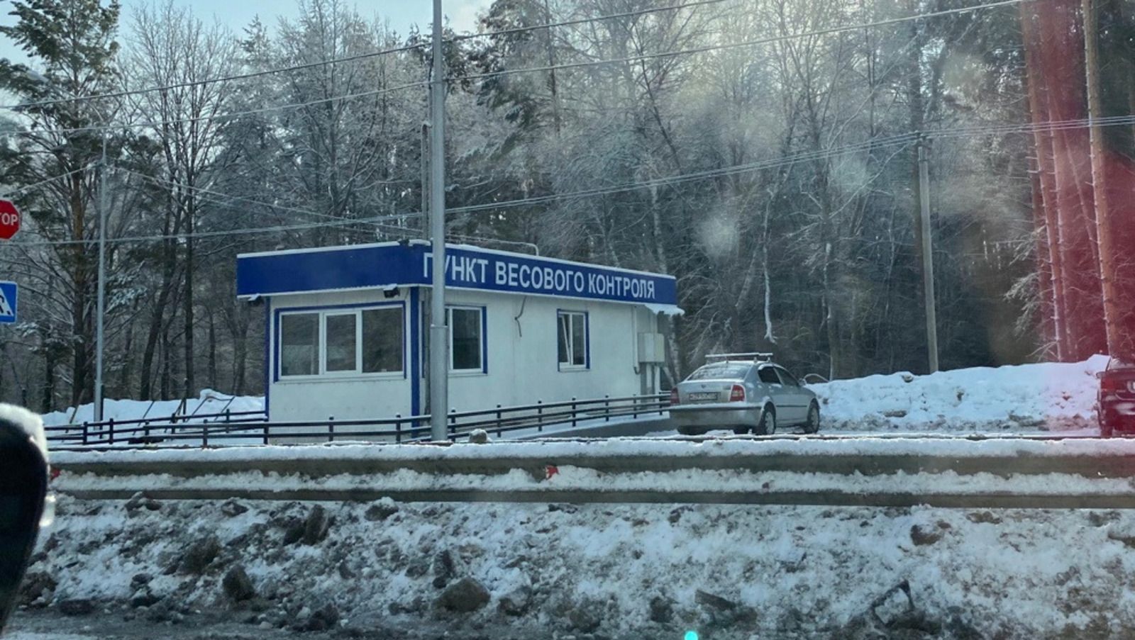 Елены Колоколовой.