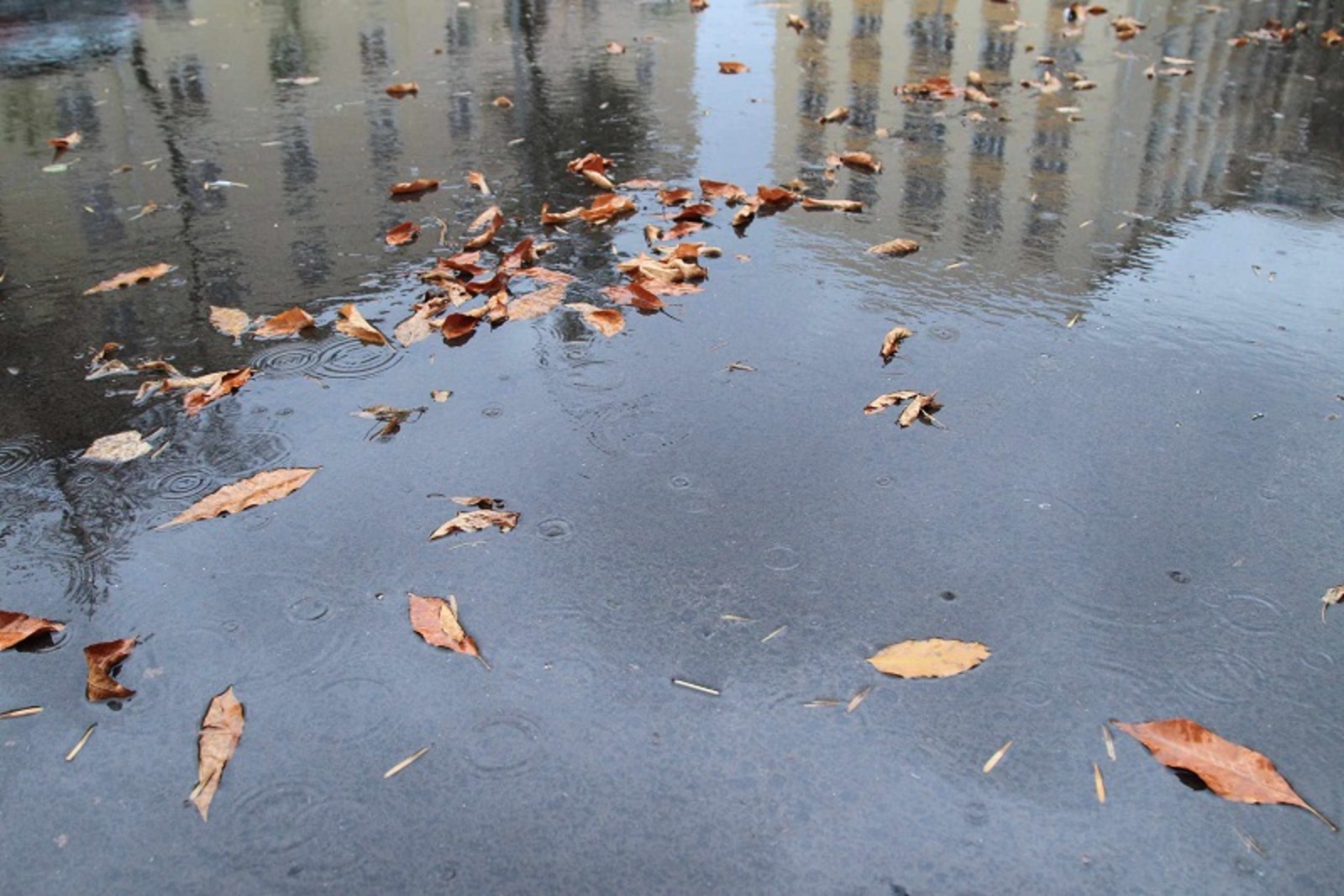 Фото Олега Яровикова.