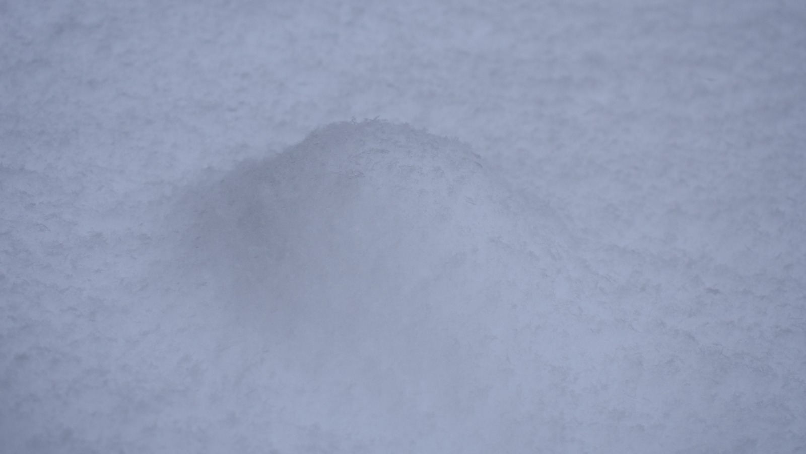 Елены Колоколовой. «Общественная электронная газета». В Башкирии погода приготовила очень неожиданный сюрприз.