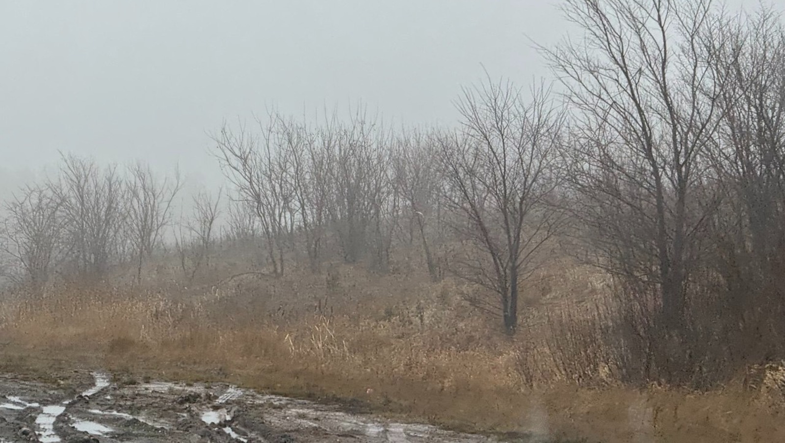 Елены Колоколовой.  «Общественная электронная газета». В Башкирии ожидается аномально теплая погода.