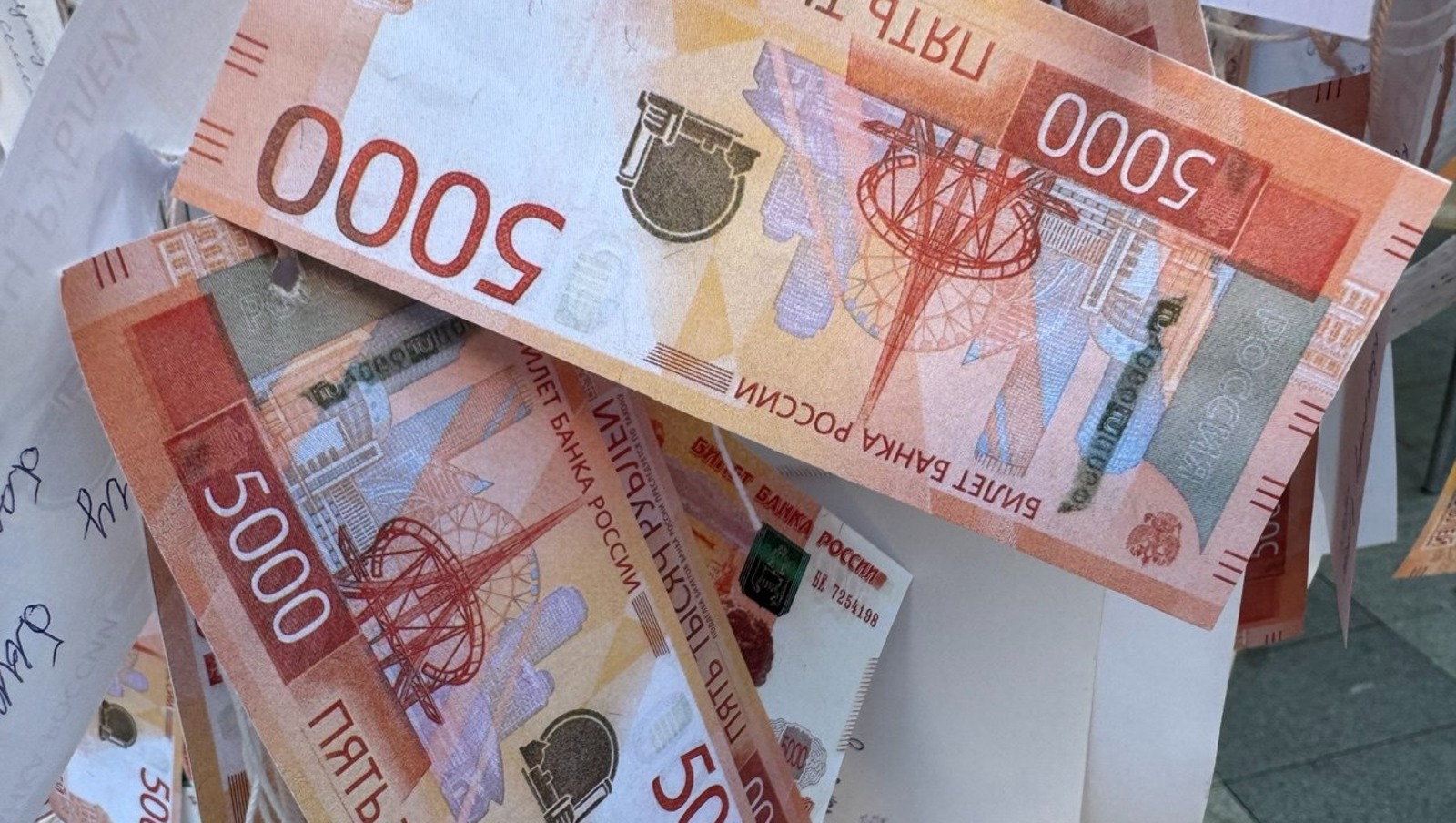 Елены Колоколовой.