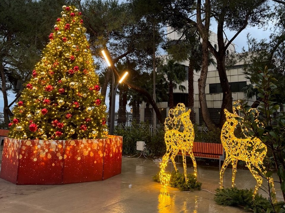 Елены Колоколовой. "Общественная электронная газета".