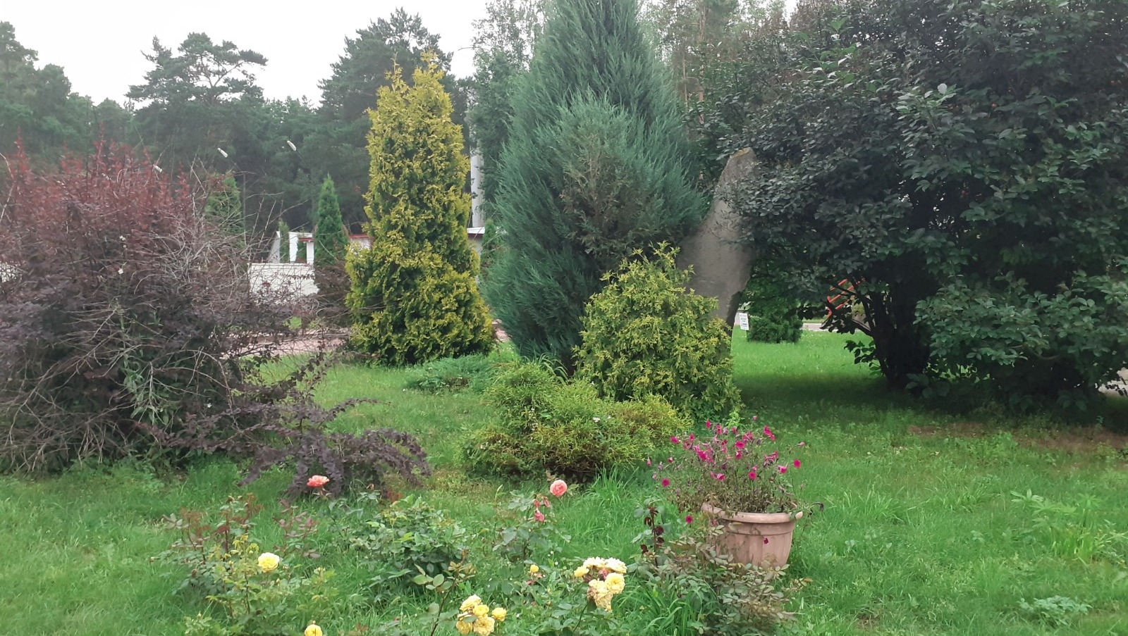 Владимира Шакиева.  «Общественная электронная газета».