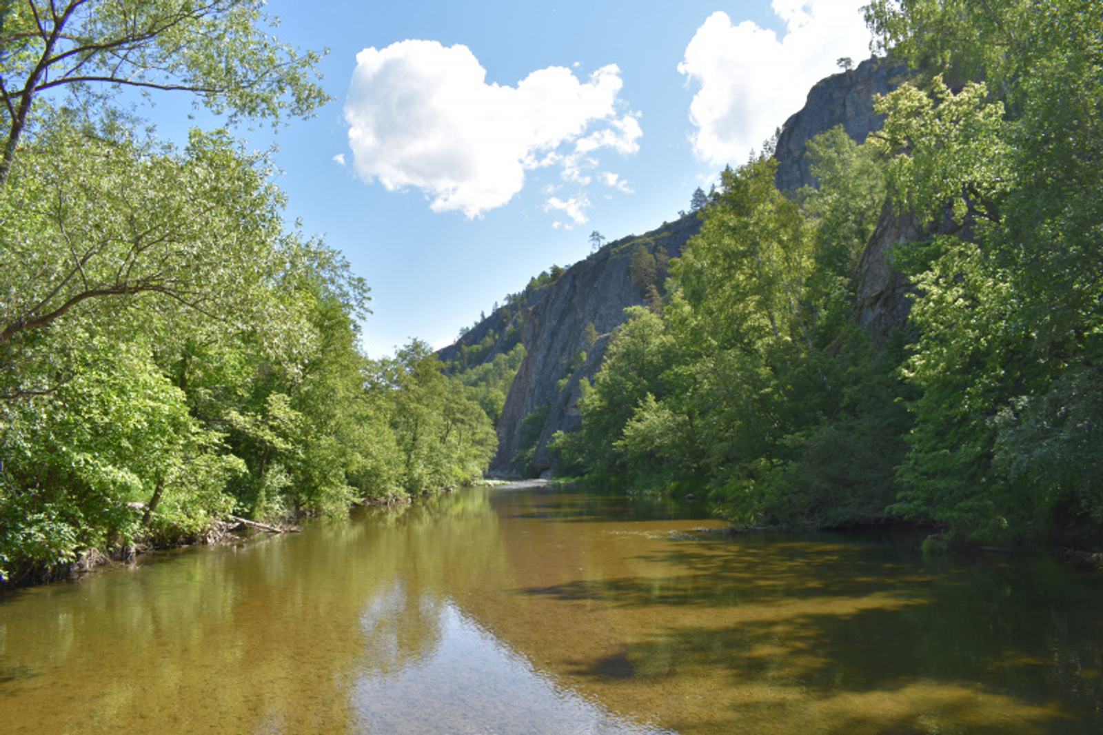 Фото автора.