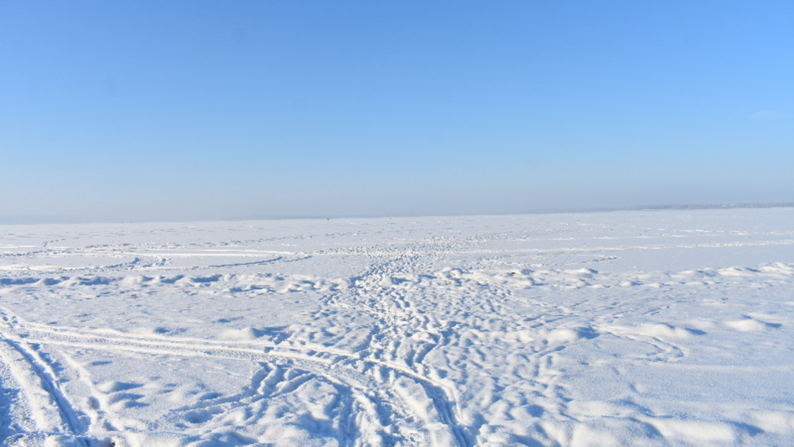 Елены Колоколовой.