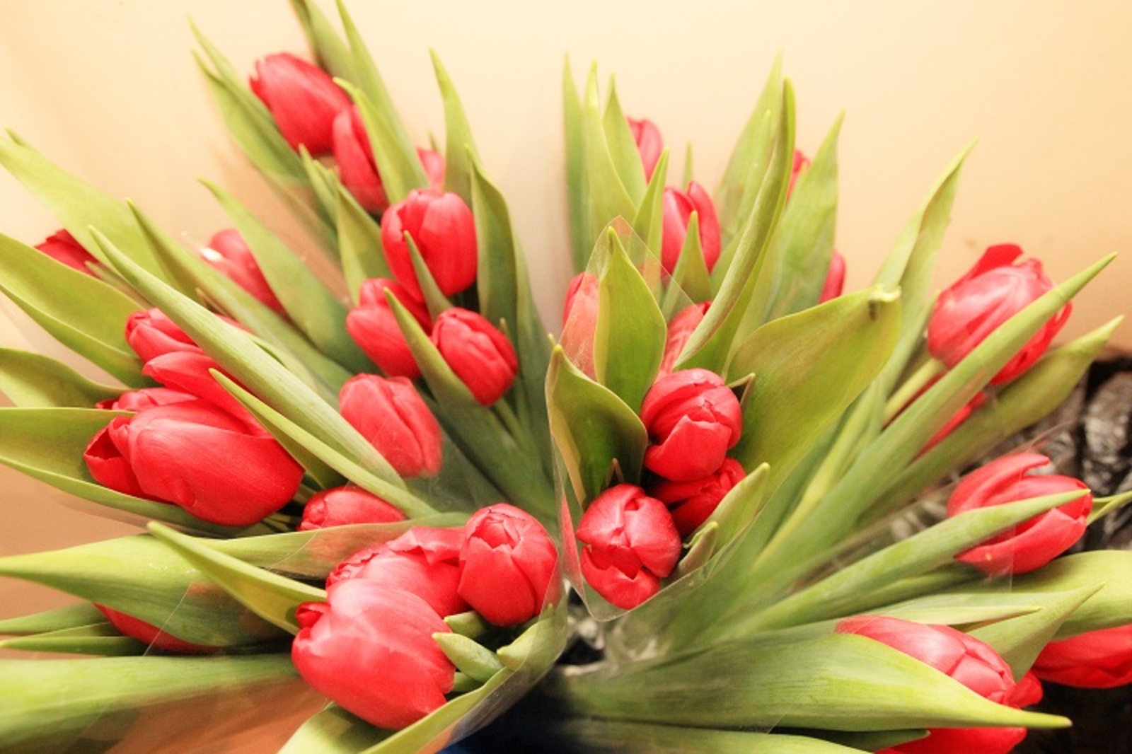 Фото Олега Яровикова.