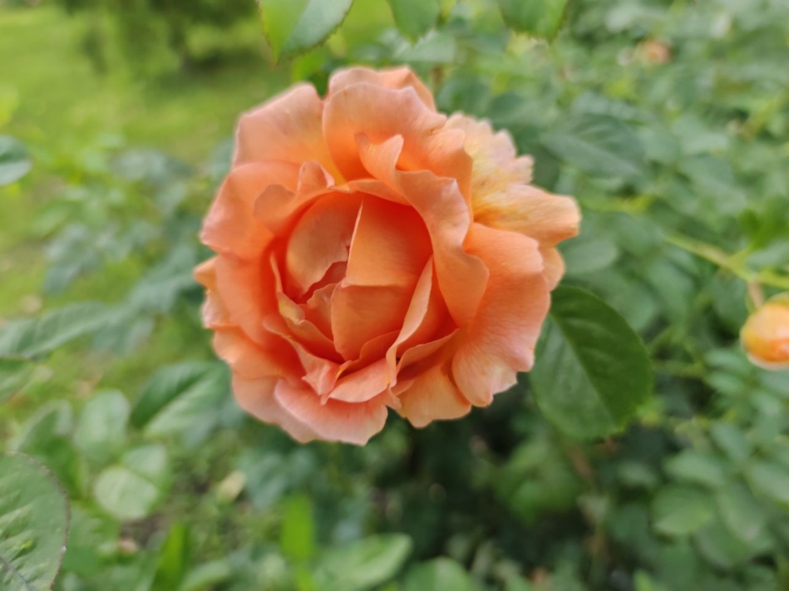 Дарьи Святохиной.