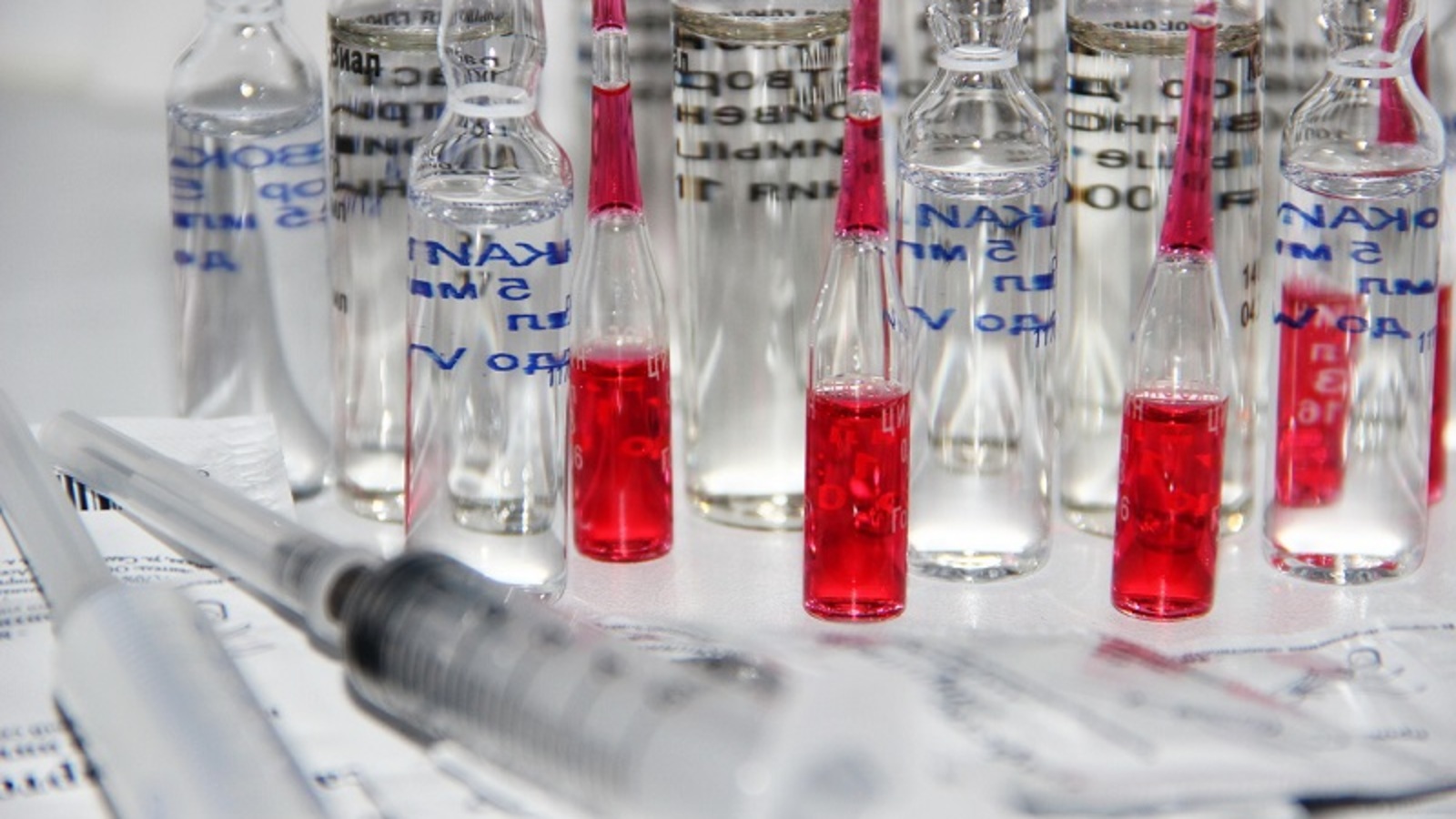 Фото Олега Яровикова.