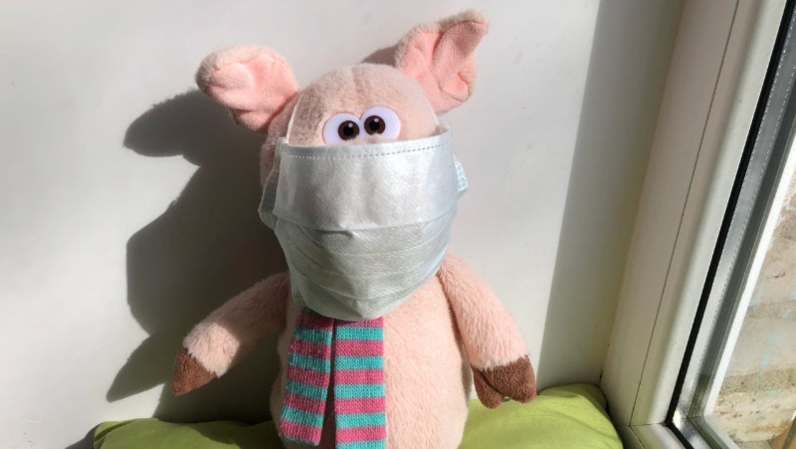 Елены Колоколовой.