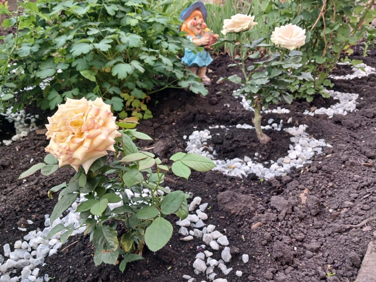 Васили Саитовой.