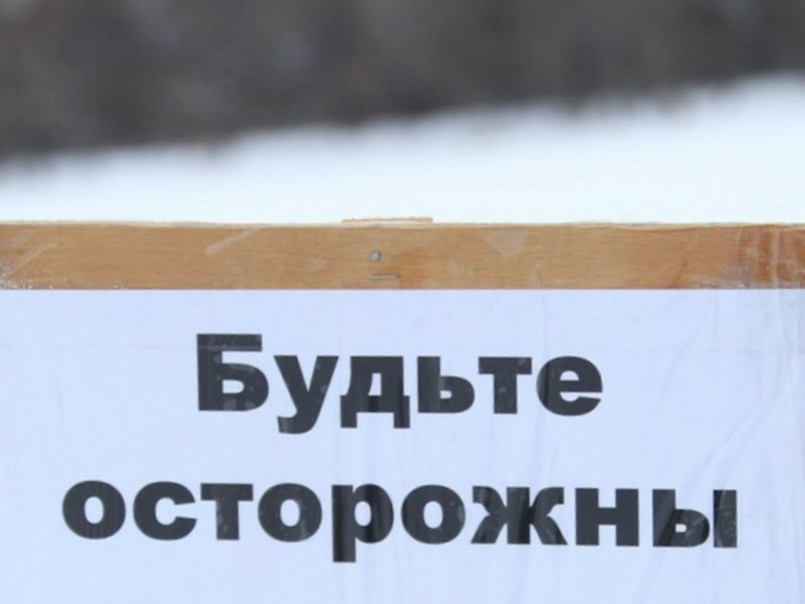 Фото Олега Яровикова.