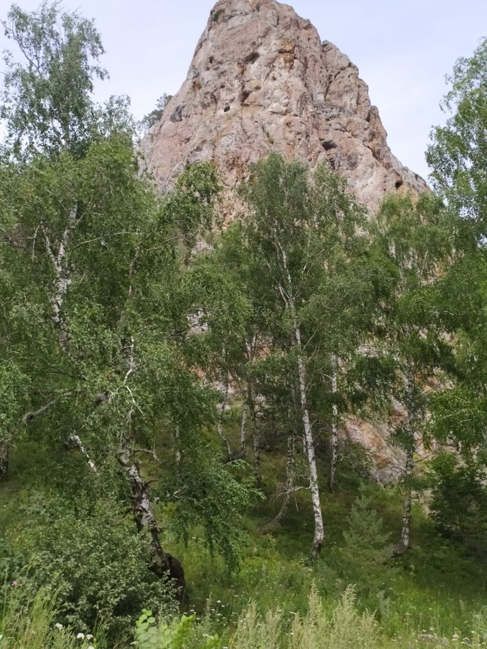 Васили Саитовой.