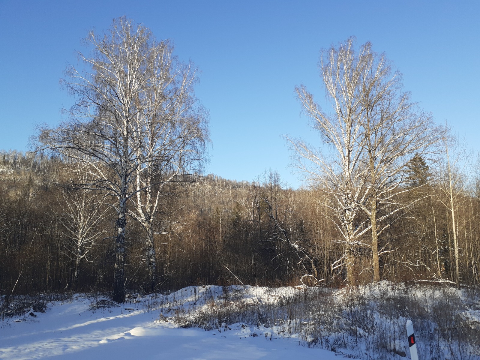 Владимира Шакиева.