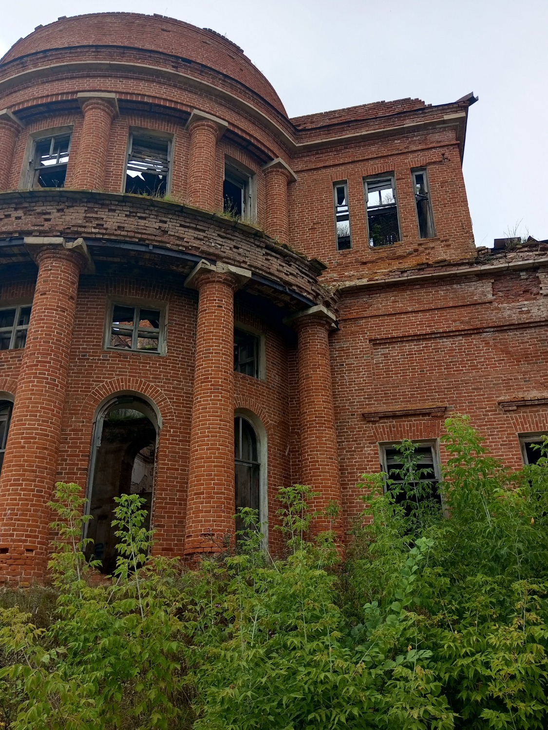 Евгении Сюткиной. «Общественная электронная газета»