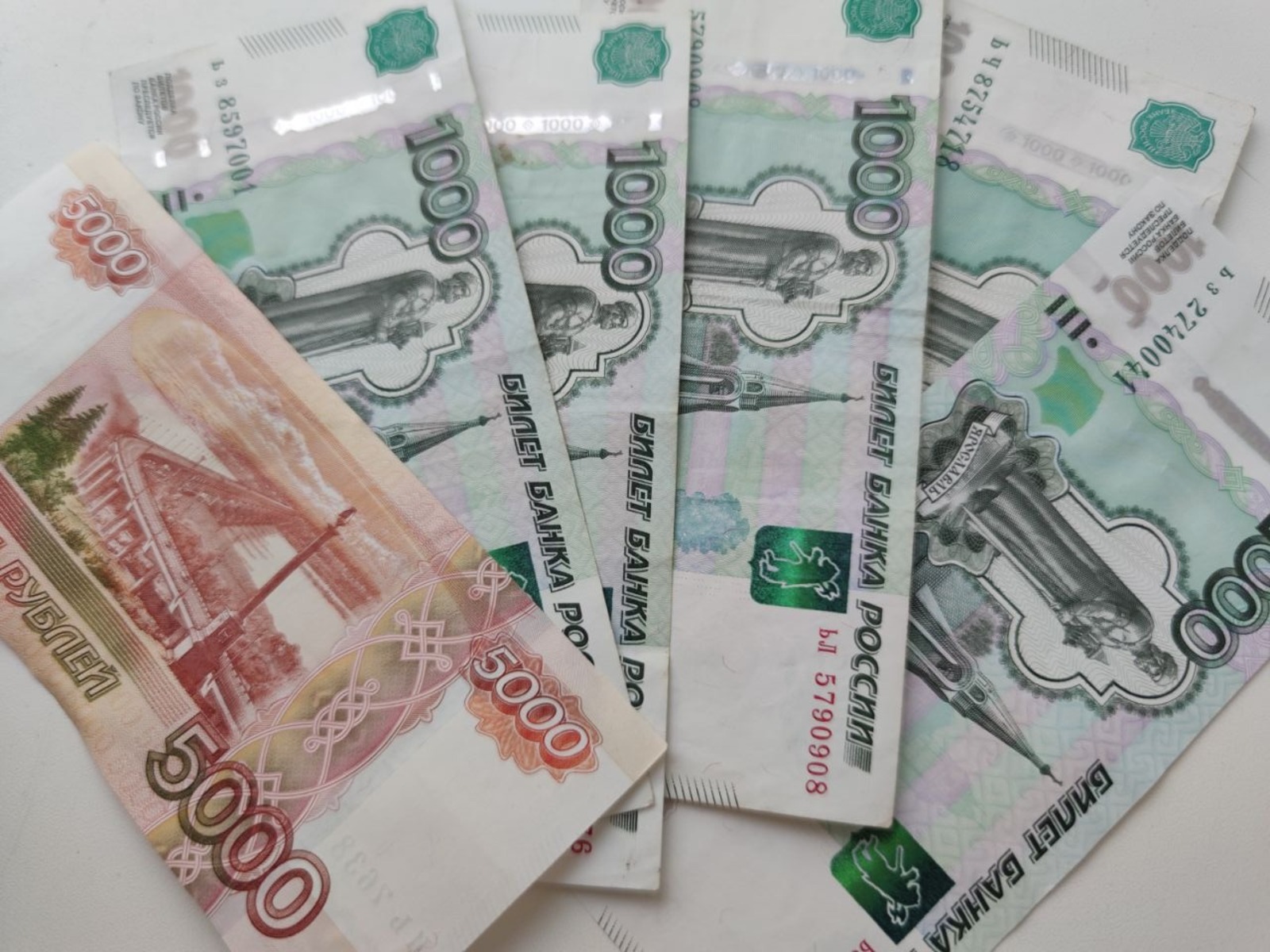 Дарьи Святохиной.