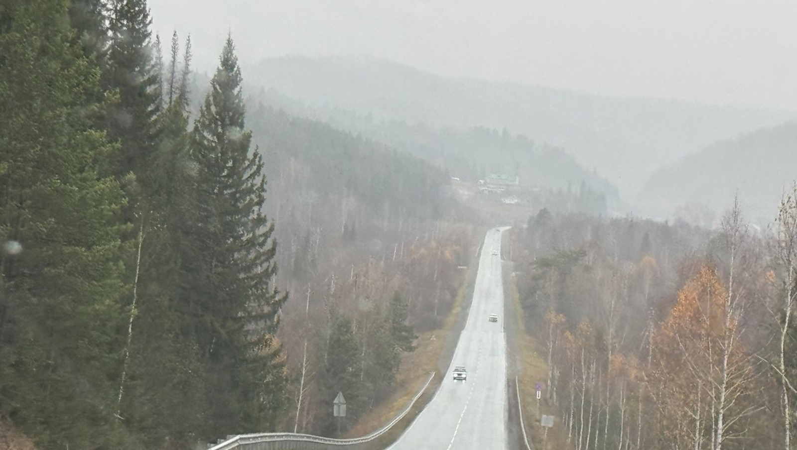 Елены Колоколовой.