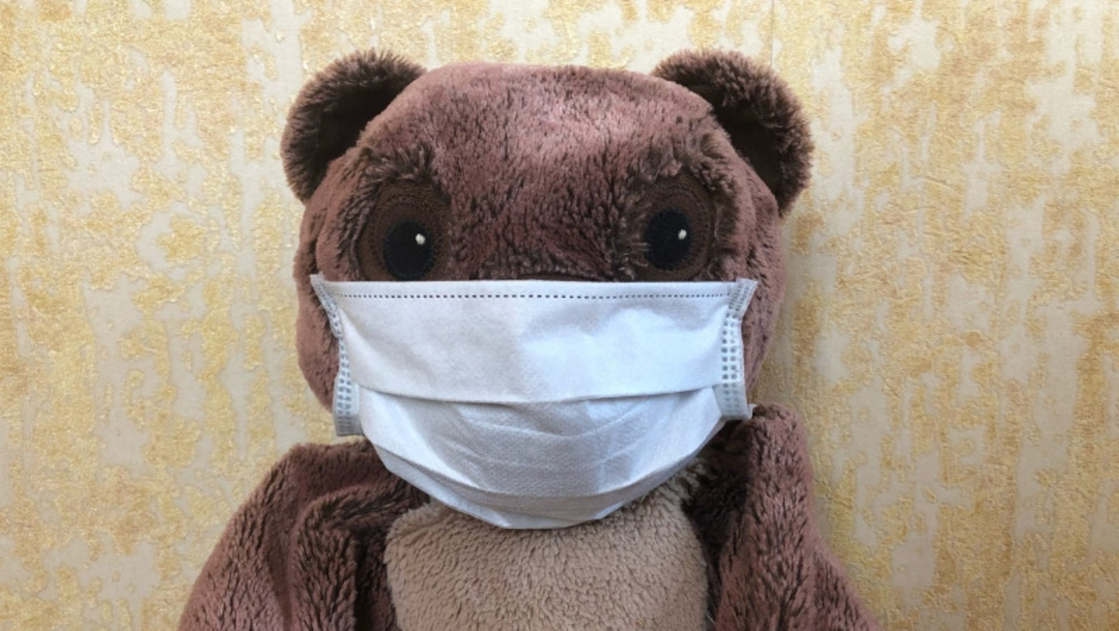 Елены Колоколовой.