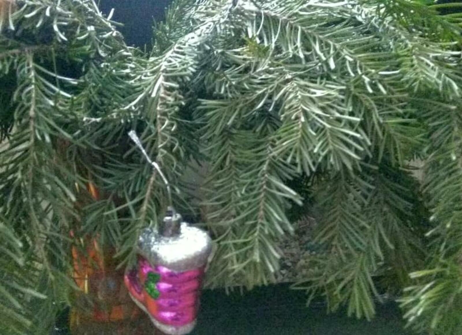 Фото Васили Саитовой.