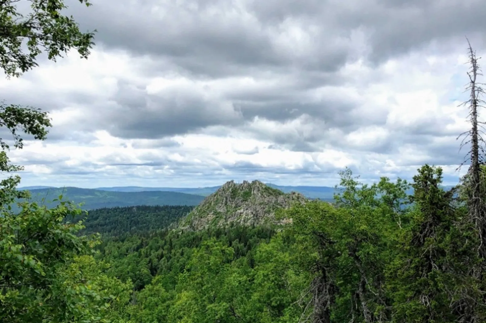 Фото автора.