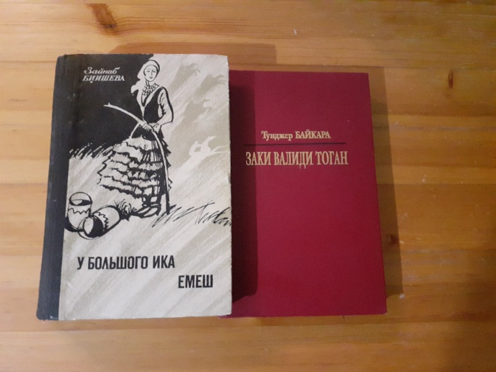 Владимира Шакиева.