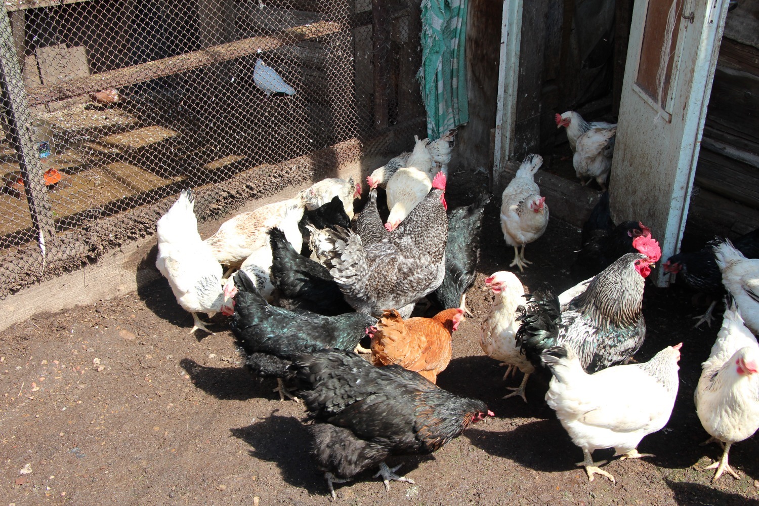 Евгении Сюткиной.