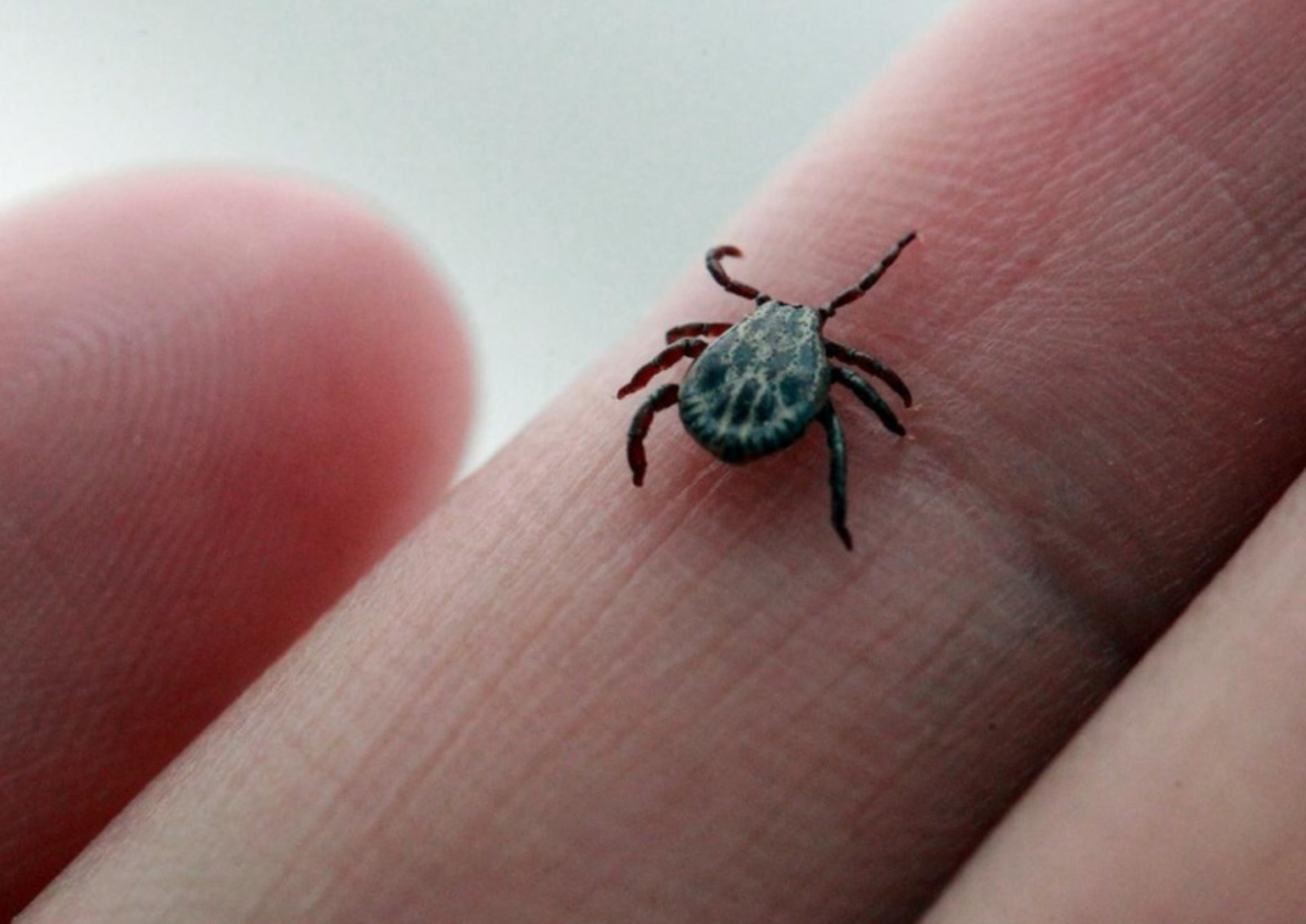 Фото: ИА «Башинформ».