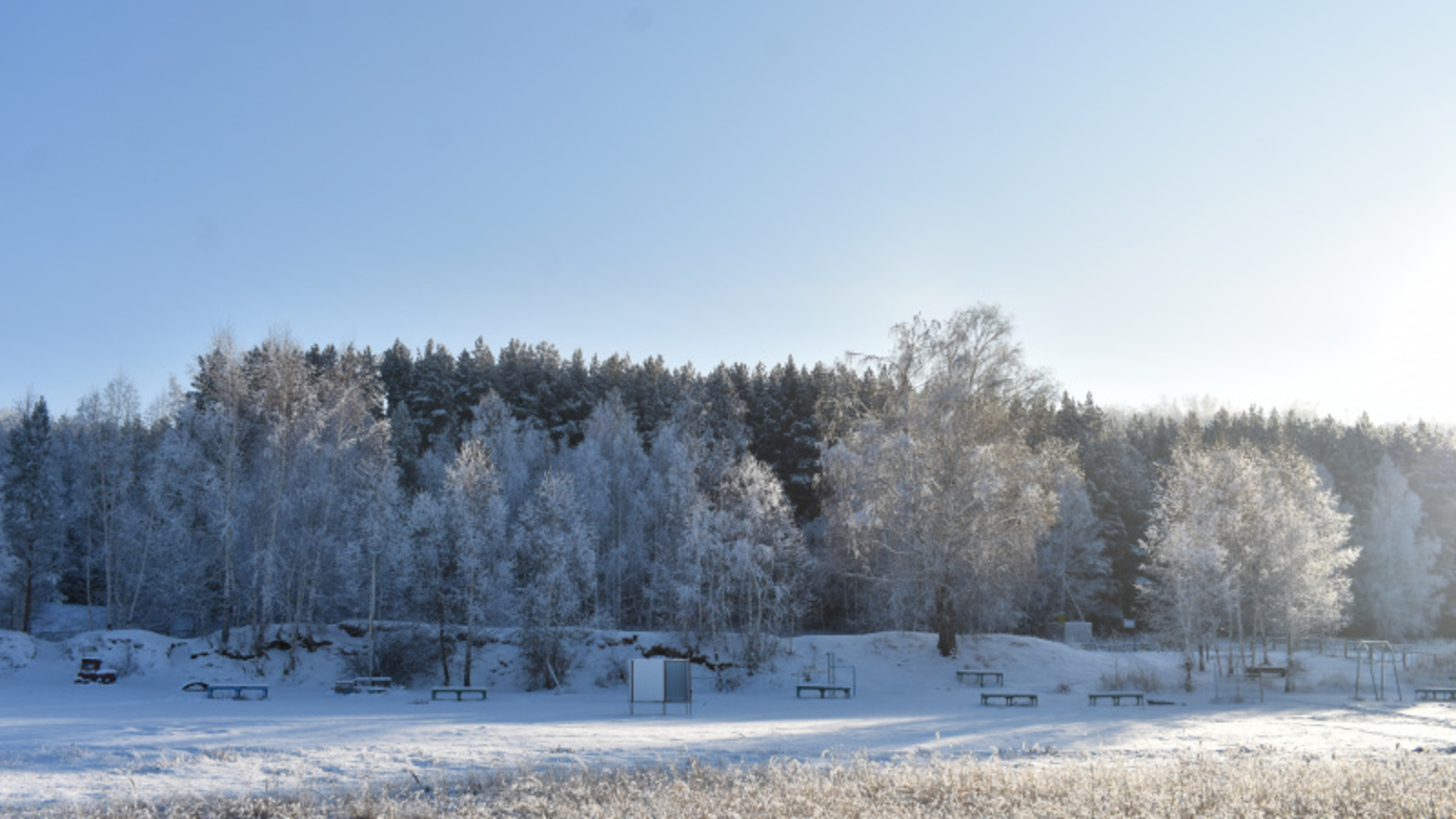 Фото автора.