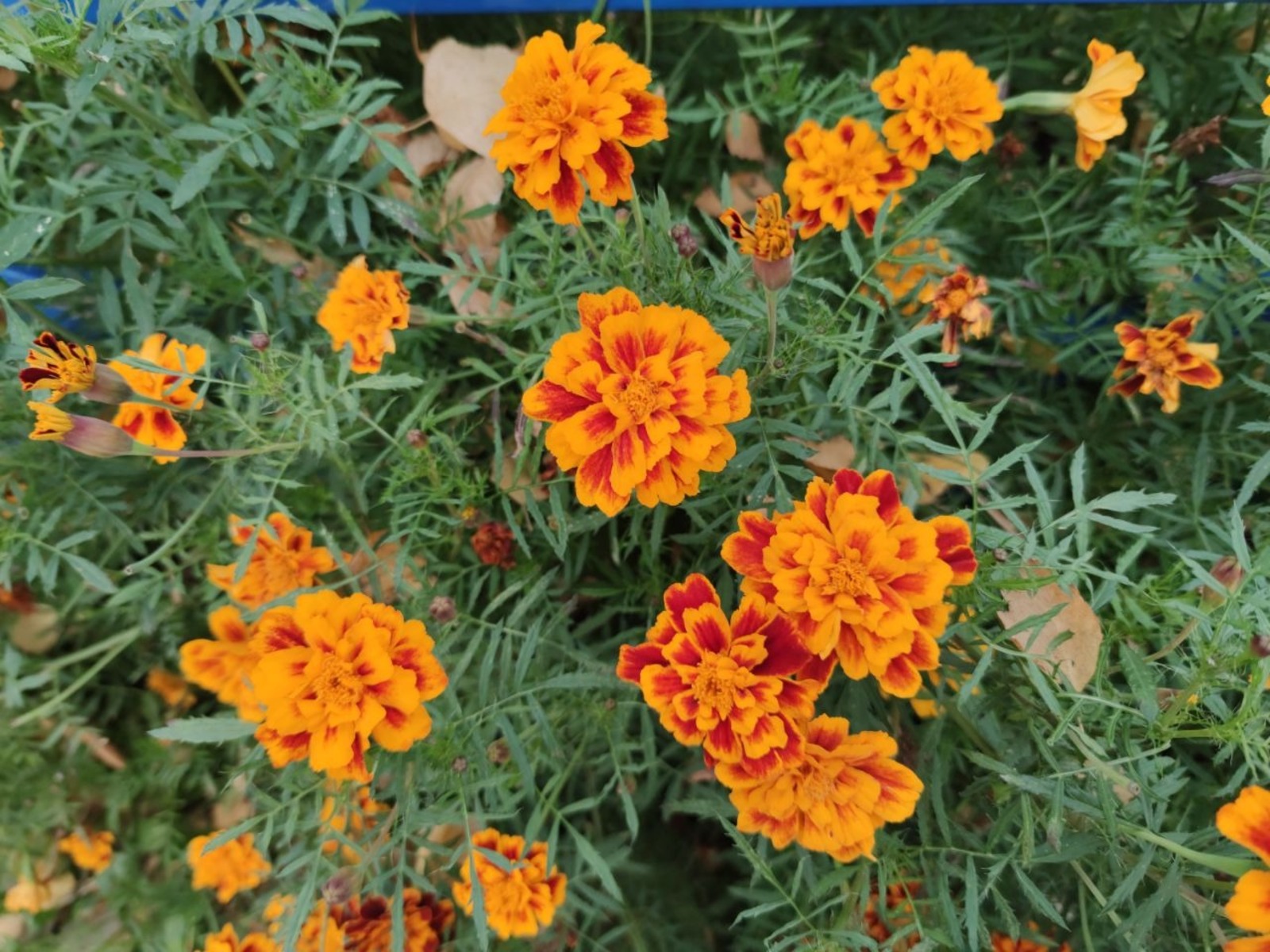 Дарьи Святохиной.