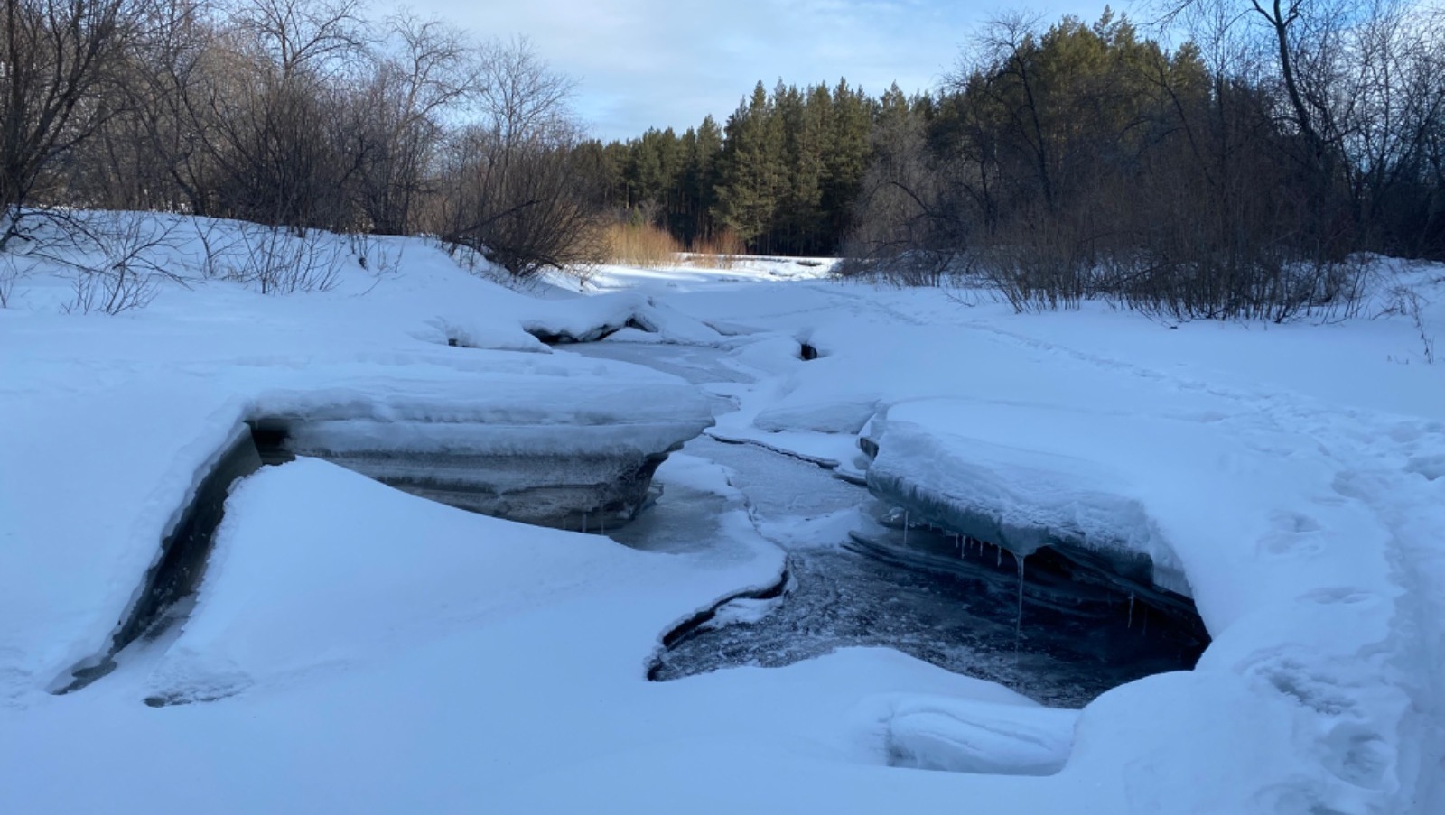 Елены Колоколовой.