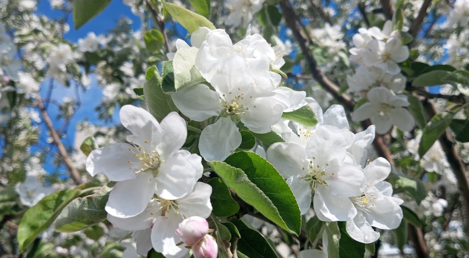Евгении Сюткиной.