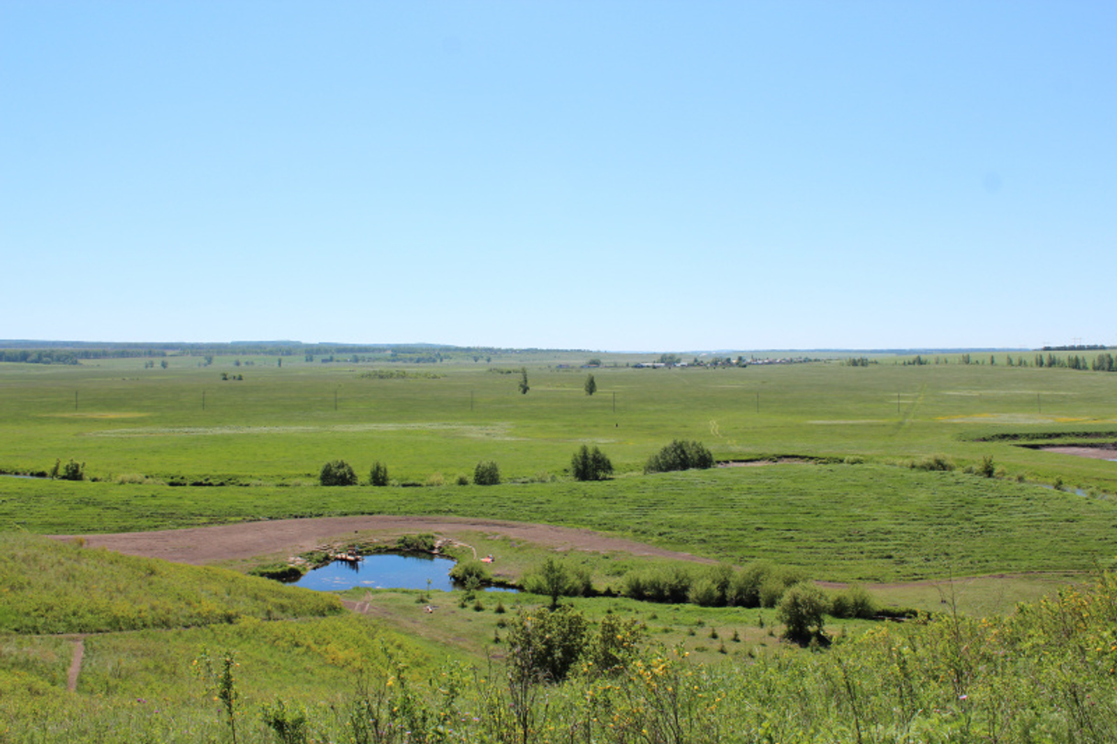 Фото автора.