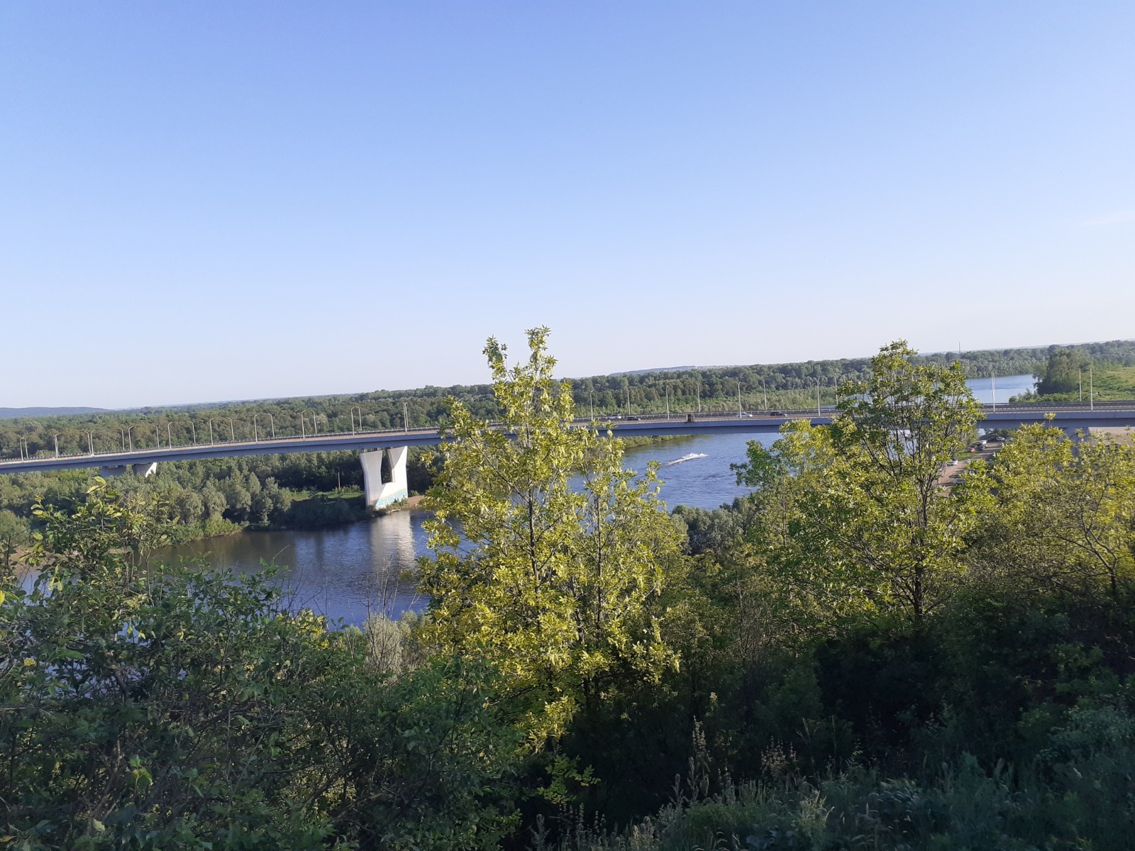 Владимира Шакиева.