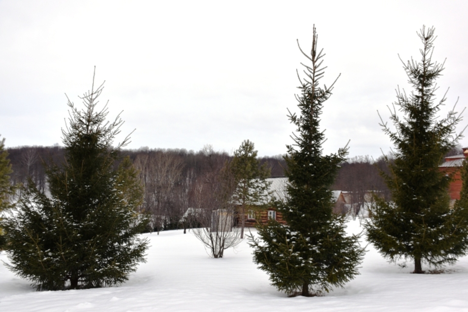 Фото Елены Колоколовой.